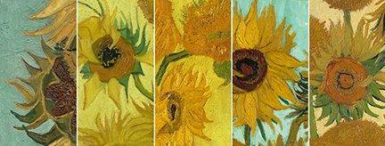 Van gogh best sale museum zonnebloemen