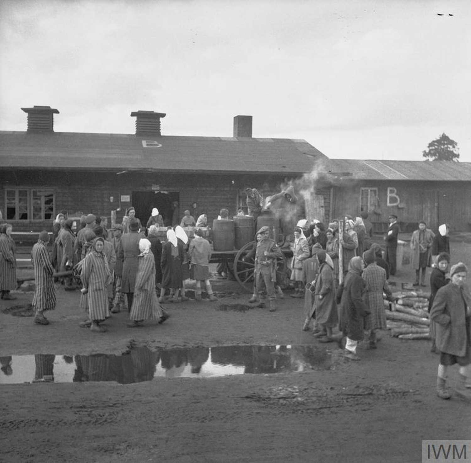 Bevrijding Van Concentratiekamp Bergen-Belsen - Canon Van Nederland